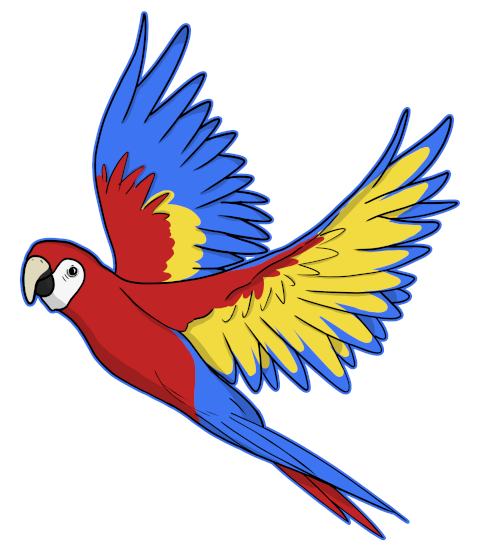 Sao Paolo Parrots Week 1 Recap